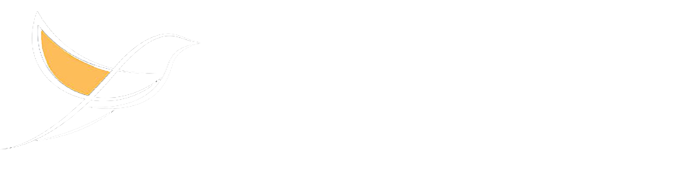 FLYWAY EDUCATION